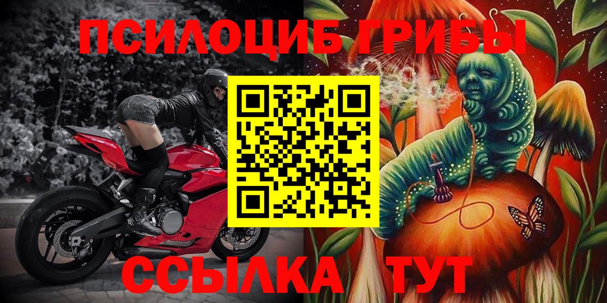 закладки  Вход с VPN  Гулькевичи  Псилоцибиновые грибы GOLDEN TEACHER  Псилоцибиновые грибы Cubensis 